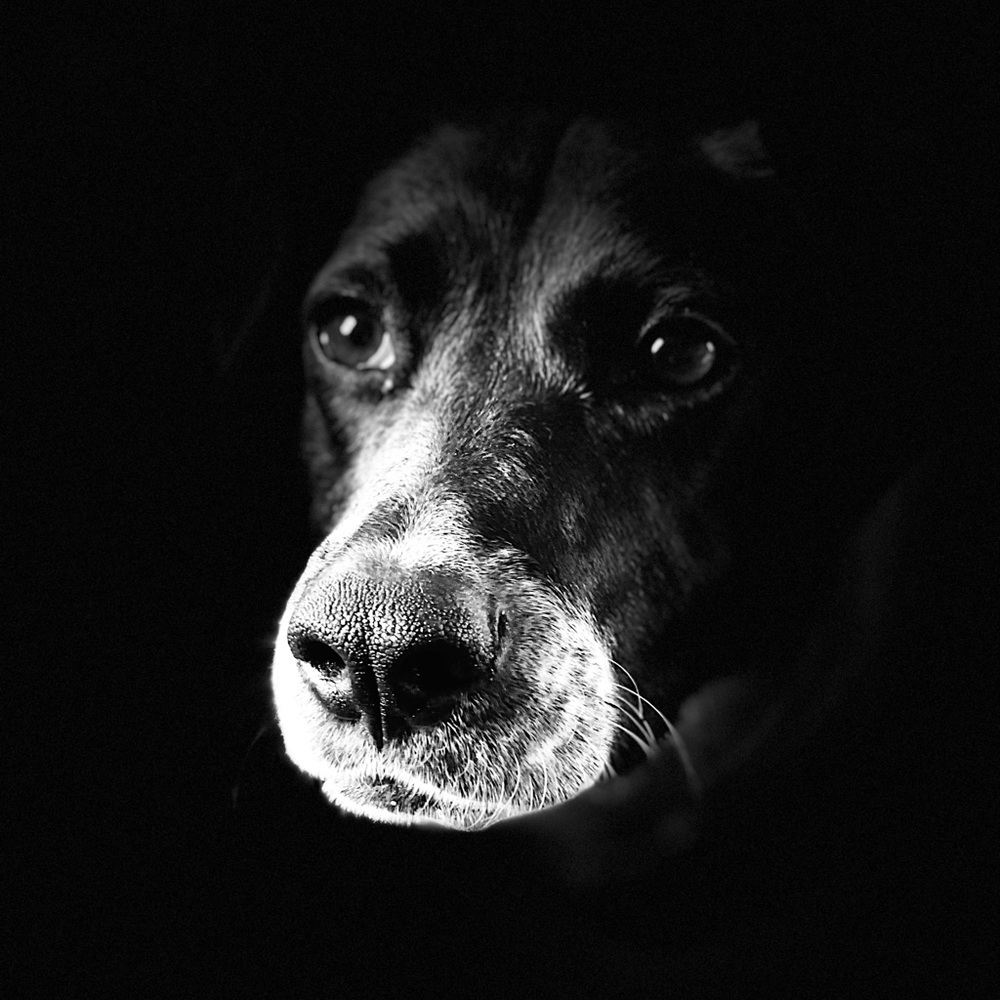 Meet your Posher, Colleen